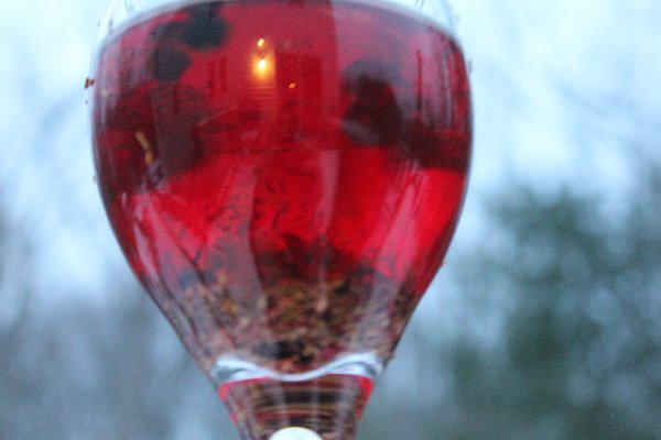 New Camera Dec2010 355